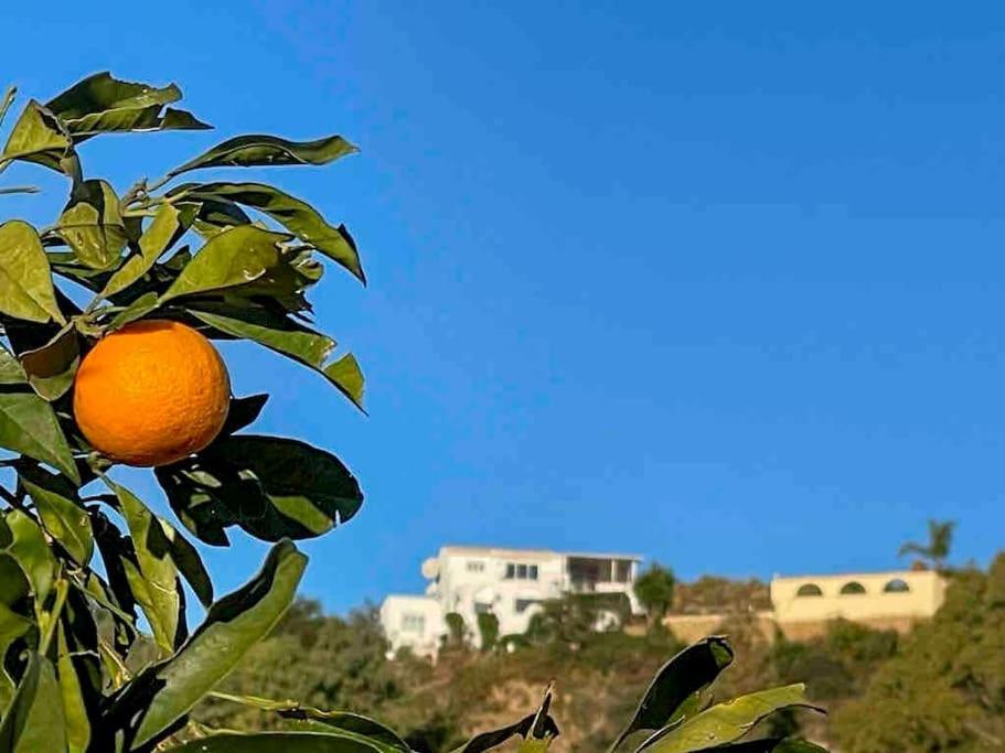 Villa Los Faramondos Naturehouse Turre Eksteriør bilde