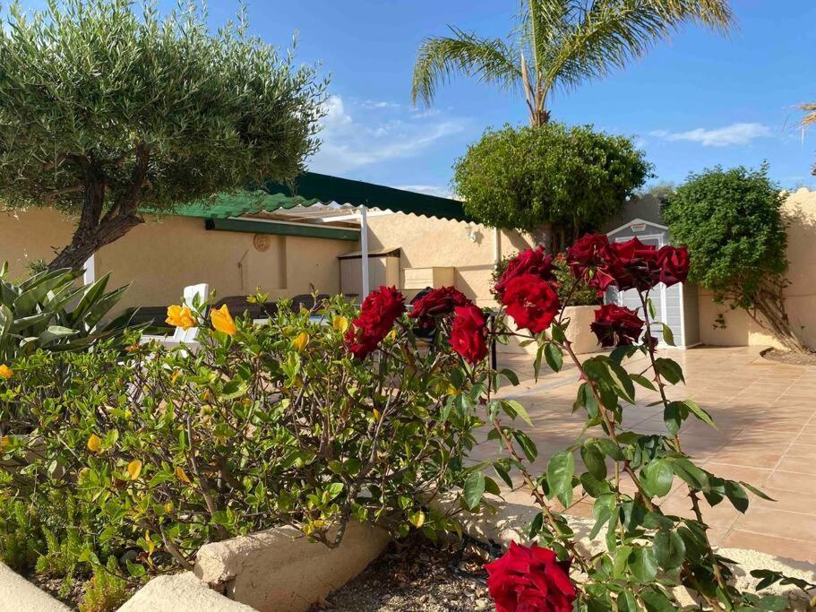 Villa Los Faramondos Naturehouse Turre Eksteriør bilde