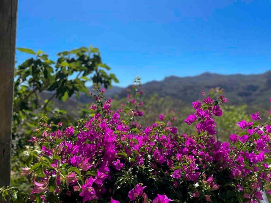 Villa Los Faramondos Naturehouse Turre Eksteriør bilde